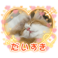 Azusa_20251219212850