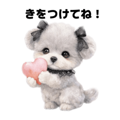 maimai_20251219191936