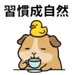 生活裡的小片刻