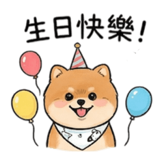 汪星人的幸福魔法