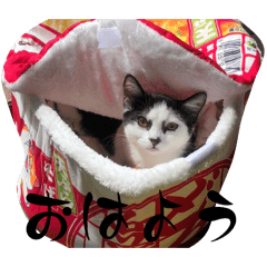 uni_kamui_20251219222100