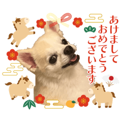 @mameta_20251220082802