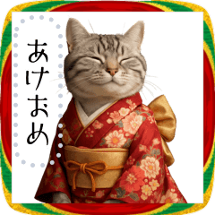 American Shorthair and New Year's!