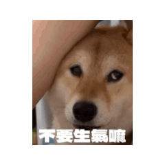 薯妮一坨泥第6彈-動動薯EP1