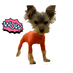 azuki yomogi_20251219231648