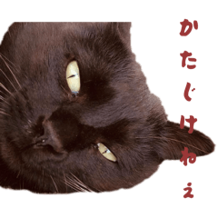 cezanne075_20251219231744