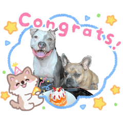 Special stickers (dog)