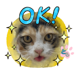 sakumomo_20251220004844