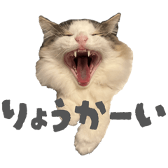 mmk112_20251220005702