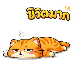 tinglyting_20251219132815