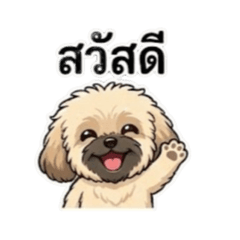 TonZa_20251219135933