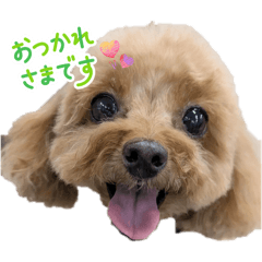 chococo_20251219204858