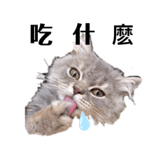 沐沐超級漂亮公主