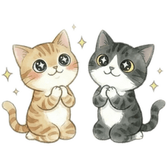 Choco & Haru：暖萌貓咪日常