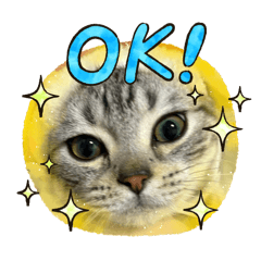 h.latte.moka_20251219223548