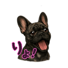 yaayaa_20251219224126