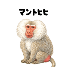 Minami Ltd._20251219083939