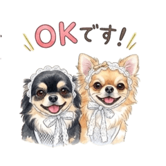 Chiro&Miru_20251220053142