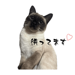 chill_20251220053237