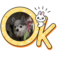 Cranhouse_20251220053741