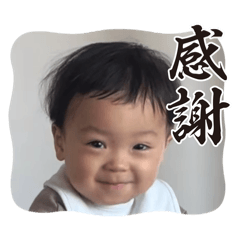 Cat.bba_20251220052308