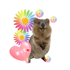 Kaorin_20251219233159