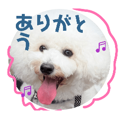 kuraetsu_20251219233320