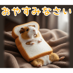 PAKAMOGOLY_20251219233837