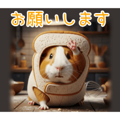 PAKAMOGOLY_20251219233756