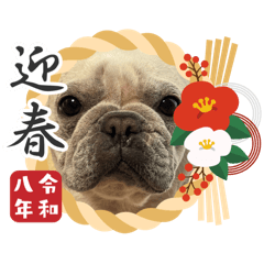 Hanna mama_20251219233818