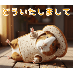 PAKAMOGOLY_20251219233939