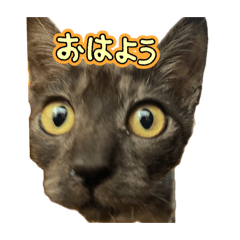 Guqiiiii_20251220084249