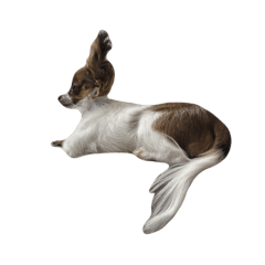 Wangoro2sei_20251220090935