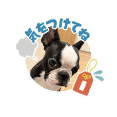 sayana_20251220121243