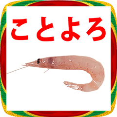 生桜えび　年賀状　2026　あけおめスタンプ