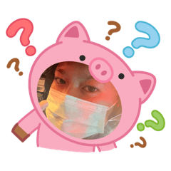 Cat cat_20251219142741