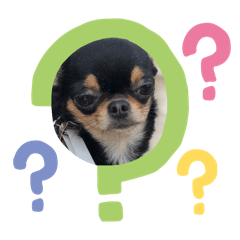 Maramahdum_20251219145234