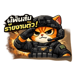 Special Forces Cats - Colonel Orange Cat