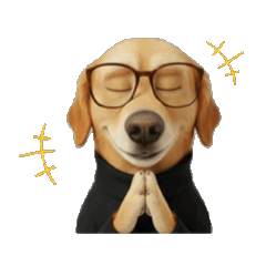 Lucky : The Labrador in Black