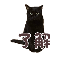 tsukinyankostamp