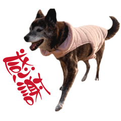 Nanami_20251220011348