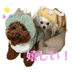 rabbit_20251220012141