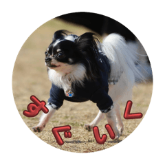 Marumo_20251220013920