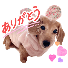 sakura_20251220013346