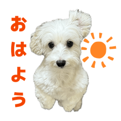 meederu_20251220013456