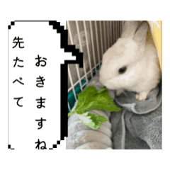 Usage-daisuki_20251220121603