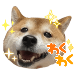 NANAPONZU_20251220015620