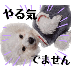 minami_20251220025722