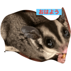 suzuki_20251220125144