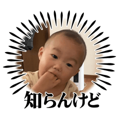 taimu_20251220025408